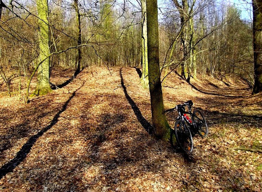 Do Bělá chciałem jechać ścieżką pod lasem, ścieżka się skończyła i jadę przez las
