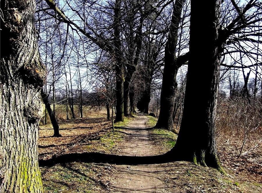 W Dolní Benešov zjechałem na ścieżkę i jadę do Jilešovic