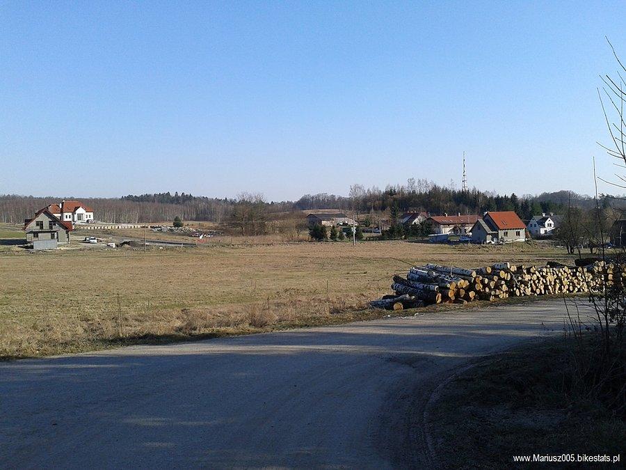 Jagodnik