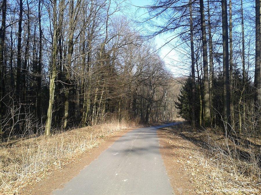Przez las