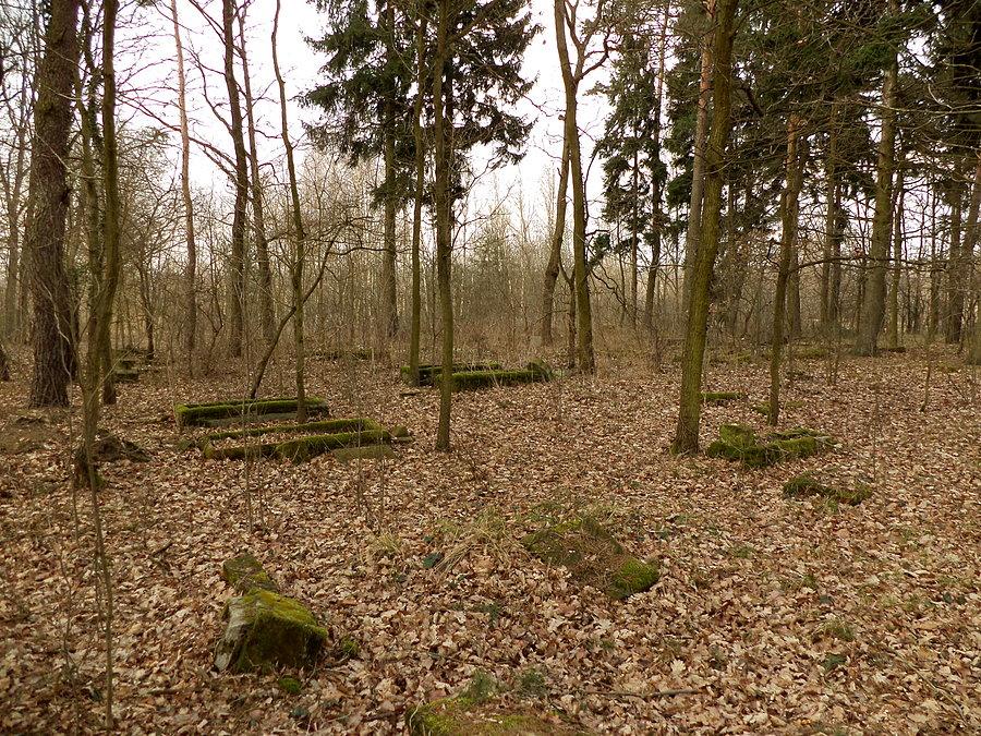 Skibice - poniemiecki cmentarz