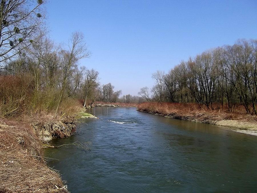 Na ścieżce rowerowej Meandry Odry