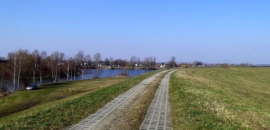 Od Roszkowa do Bluszczów jadę po wałach polderu Buków