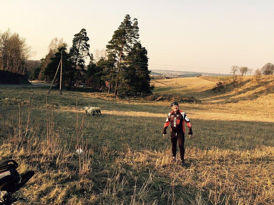 Widoki jak na podhalu nawet owce sa Szwajcaria Kaszubska koło Somonina