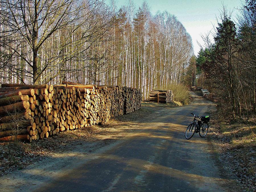 Okolice Tczewa