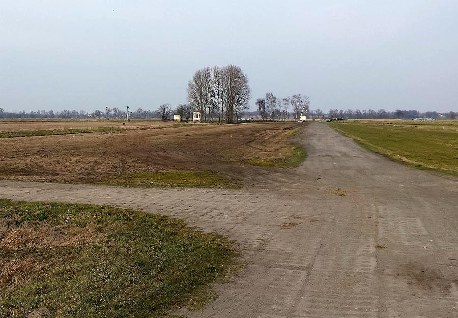 Na łąkach w okolicy Witkowa