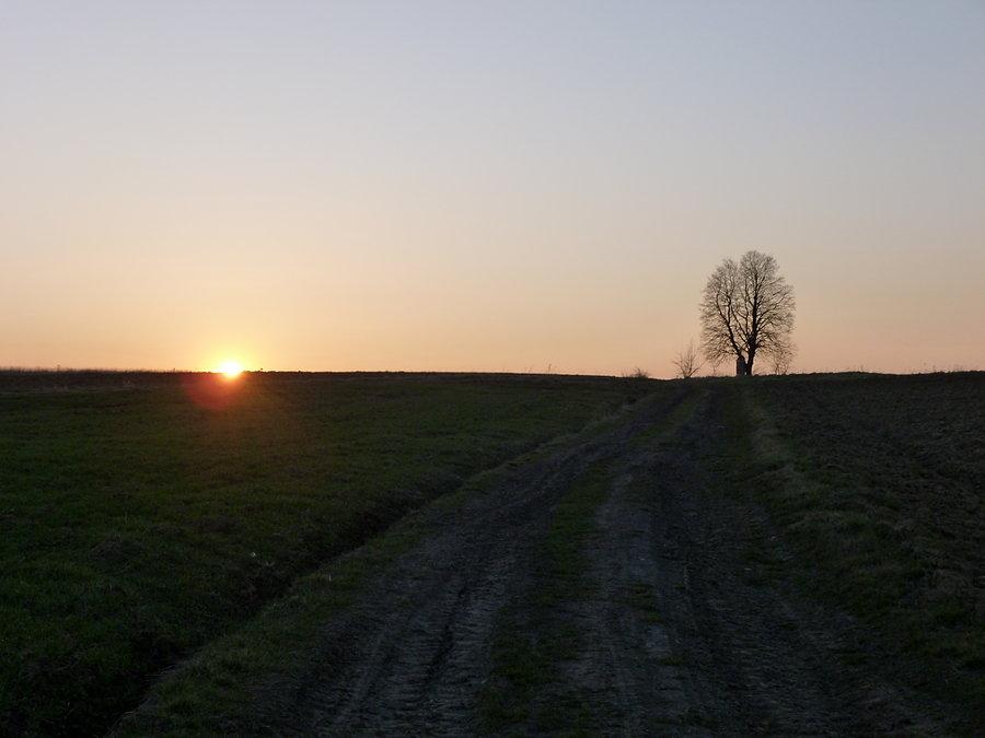 Gdzieś pomiędzy Niechobrzem, a Zgłobniem