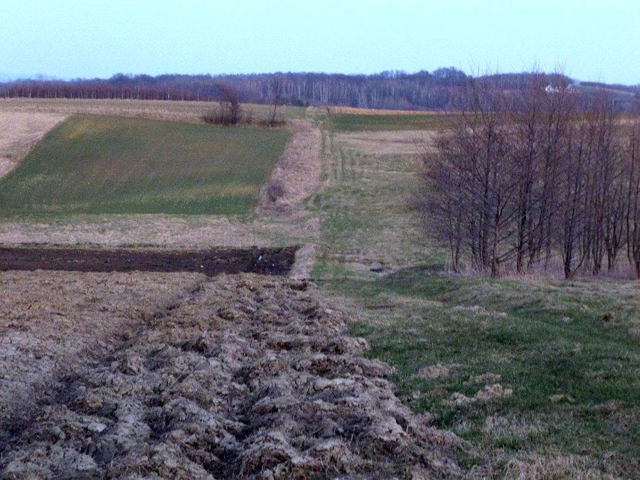 Dosyć iężki skrót