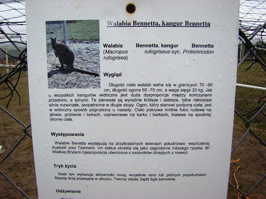 Otwarcie ścieżki pieszo rowerowej z Przecławia do Kołbaskowa. W Smętowicach - zwierzyniec