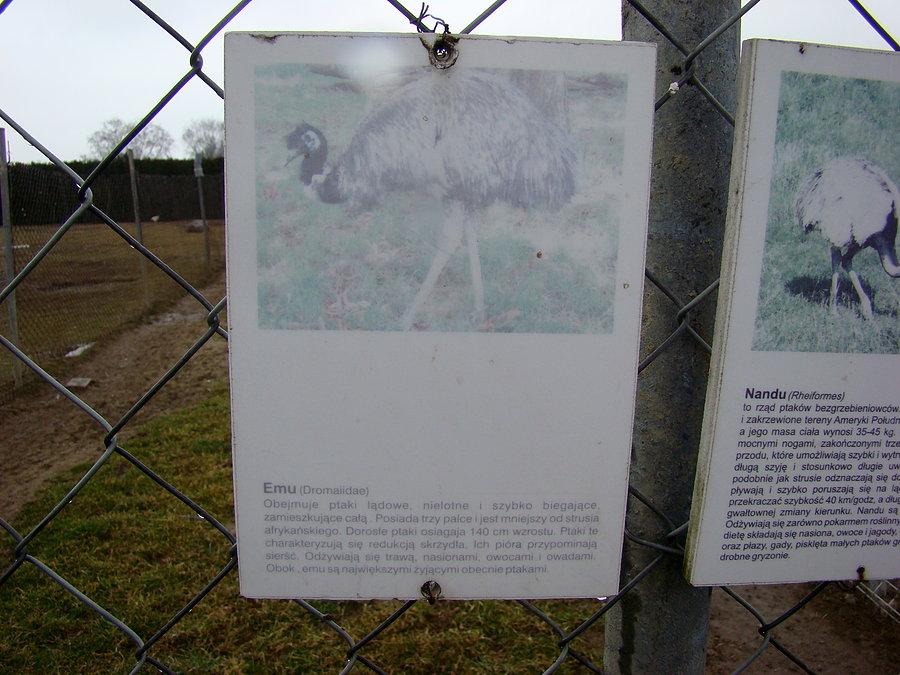 Otwarcie ścieżki pieszo rowerowej z Przecławia do Kołbaskowa. W Smętowicach - zwierzyniec