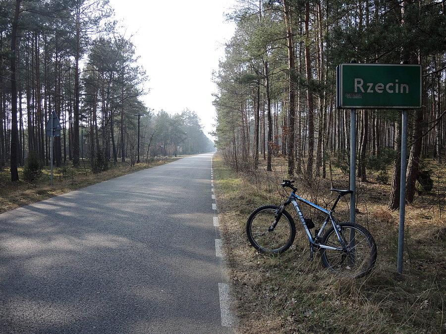 W Rzecinie / Puszcza Notecka