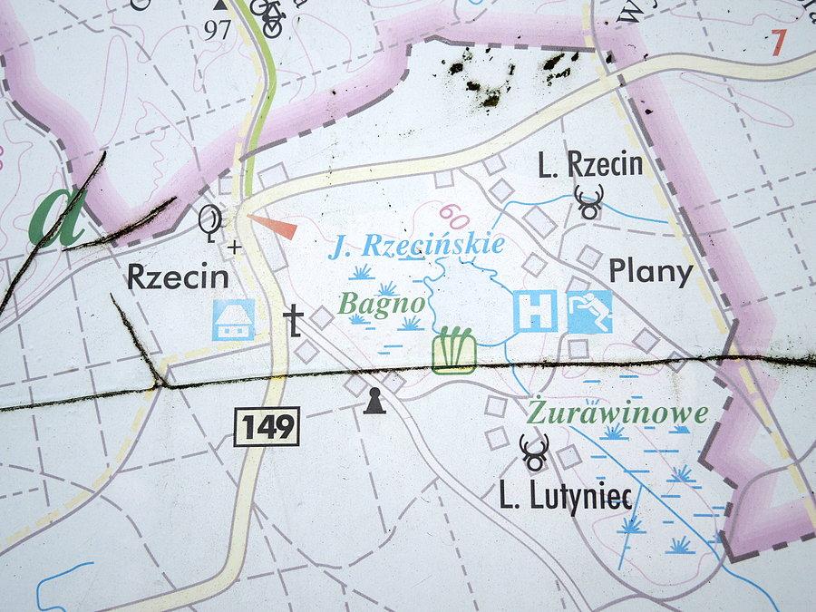 Mapka sytuacyjna / Rzecin i okolice
