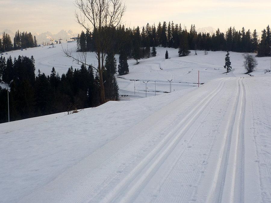 Trasa biegowa na Kotelnicy