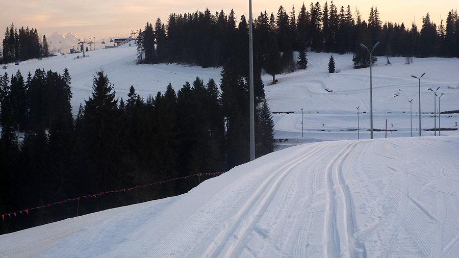 Trasa biegowa na Kotelnicy