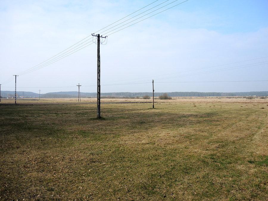 Widok na torfowiska rzecińskie