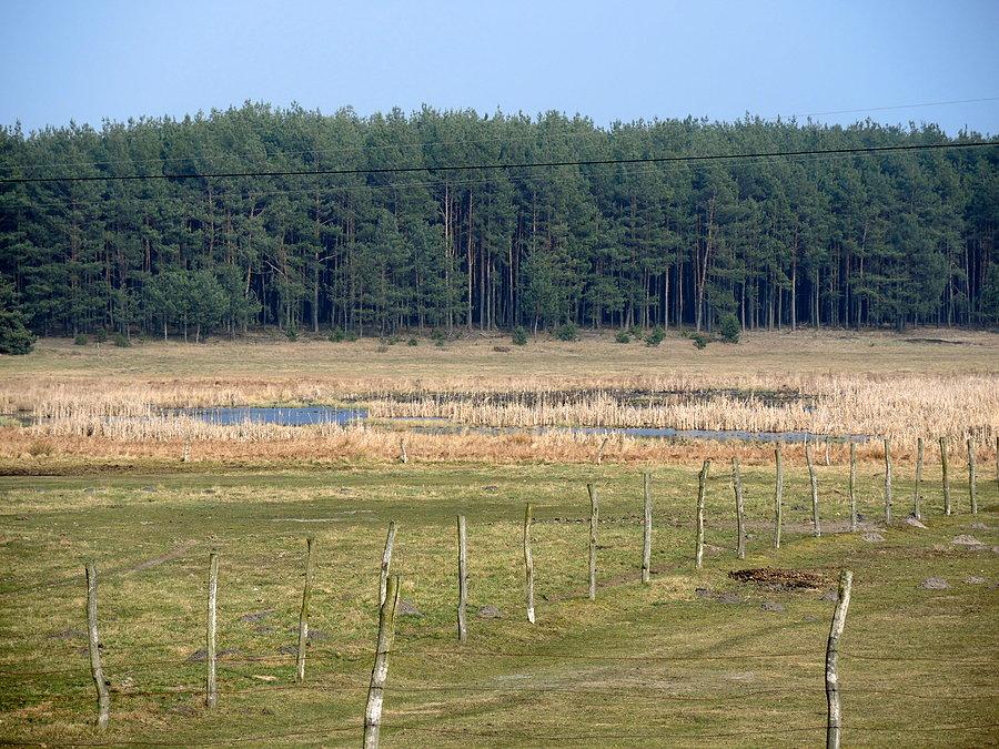 Jezioro Rzecińskie