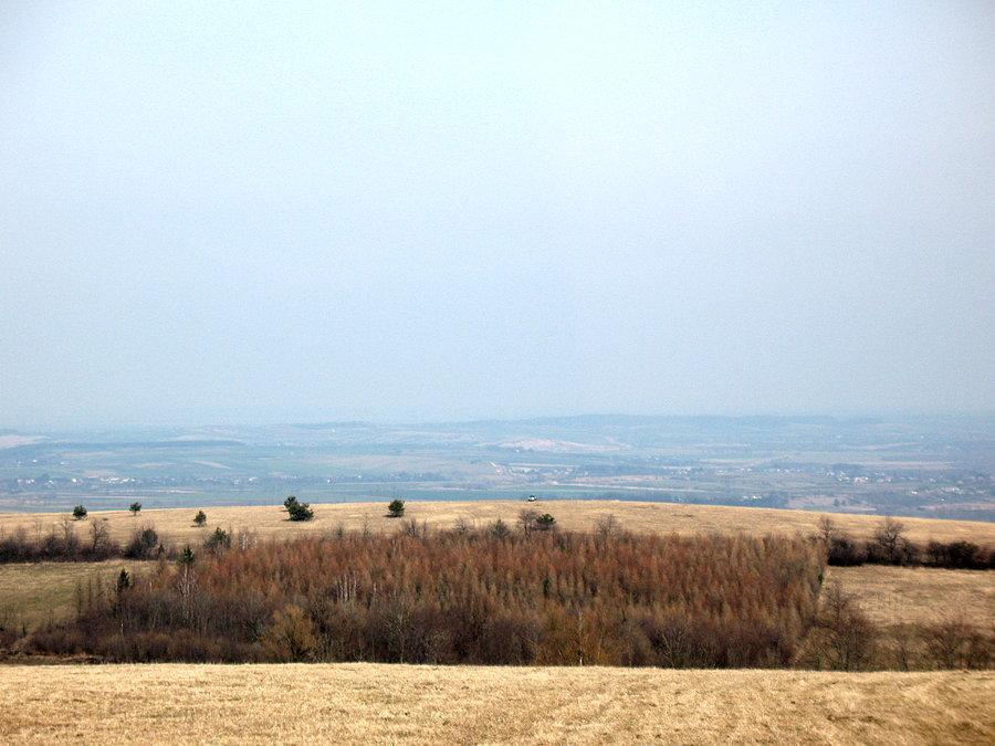 Straż Graniczna