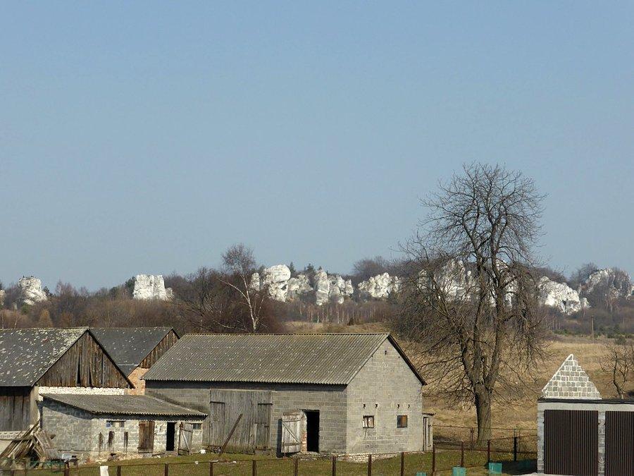 Skały Rzędkowickie w tle