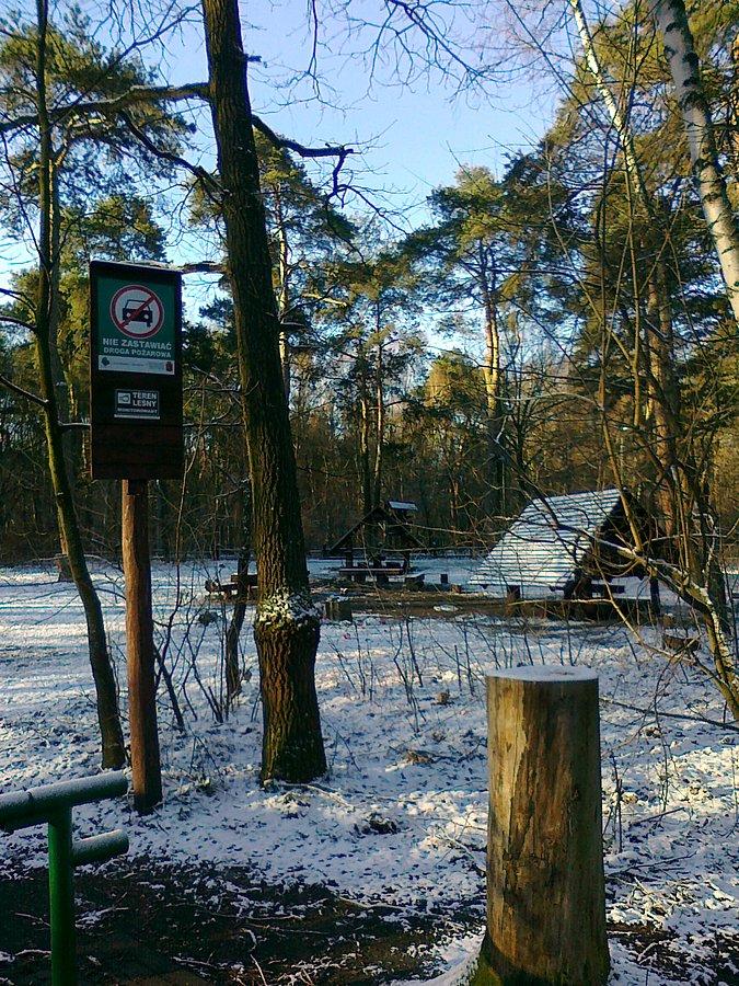 Śnieg na polanie
