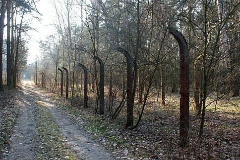 Po prawej resztki po byłym ogrodzeniu