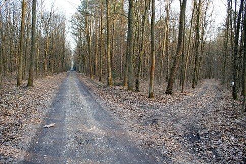 Skręt w prawo i już prawie jesteśmy przy bunkrach