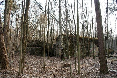 Kompleks bunkrów w Skrzynkach składa się z czterech bunkrów typy Regelbau 102v