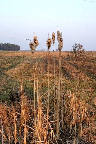 Podczas zachodu słońca