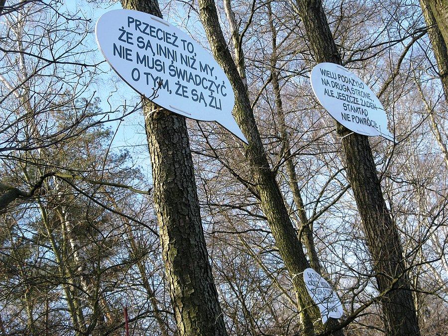 Napisy nad Strzeszynkiem
