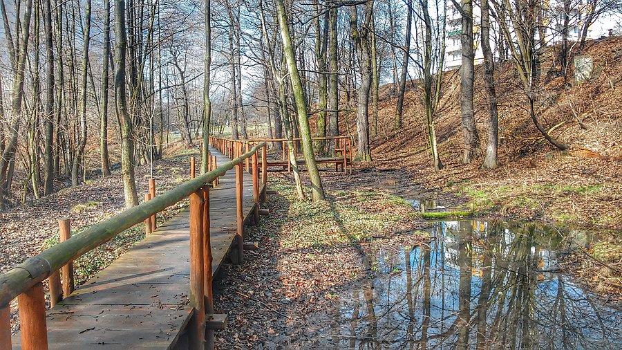 Dolina ślepiotki