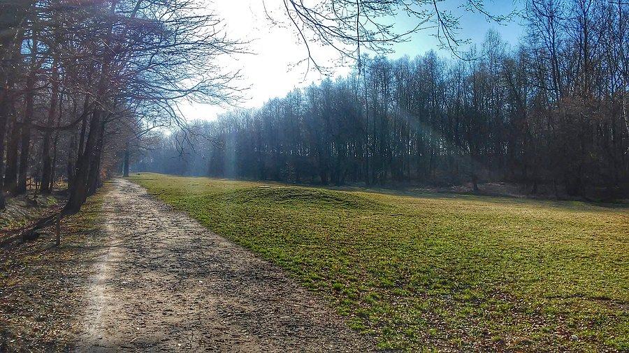 Park w Zabrzu
