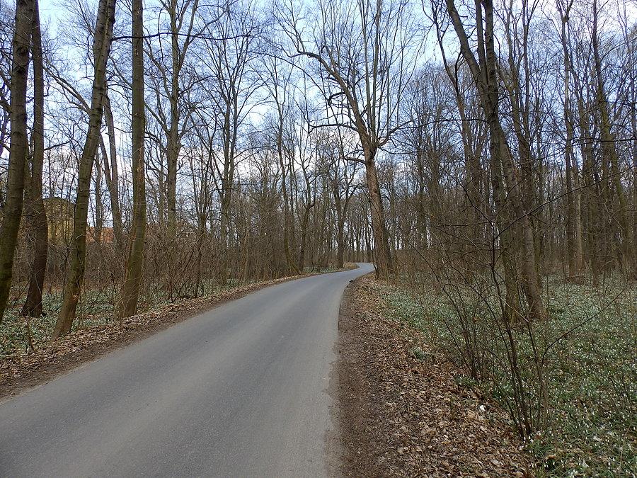 Droga Stoszyce-Bogdaszowice
