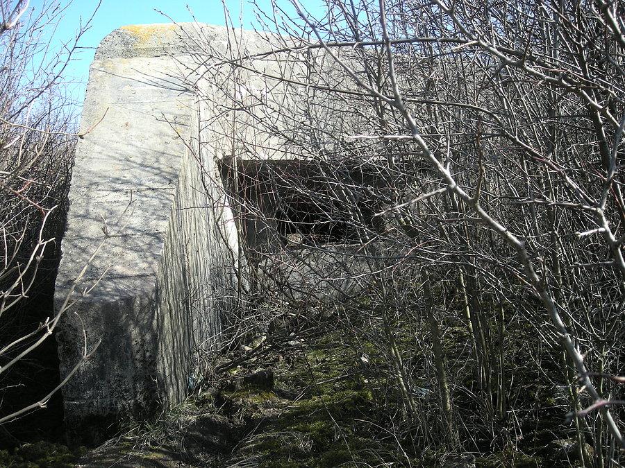 Ucho i strzelnica bunkra