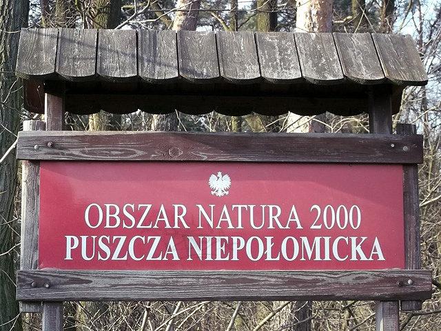 Przez Puszczę