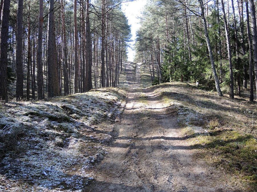 Tuż przed dostrzegalnią - bardzo stroma górka