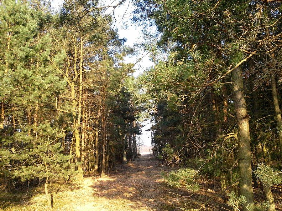 Las Kolonia Jarantów