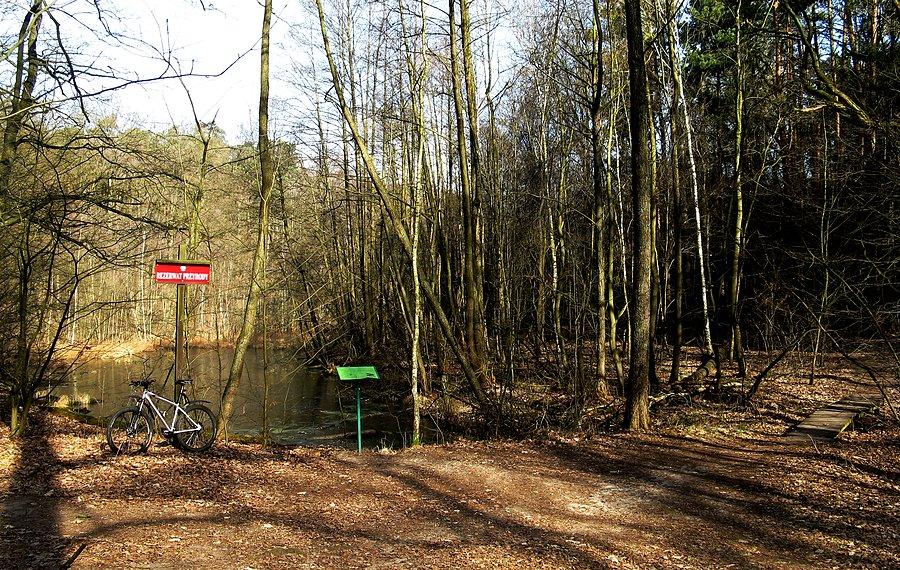 Jeziorko Zimna Woda i kładka