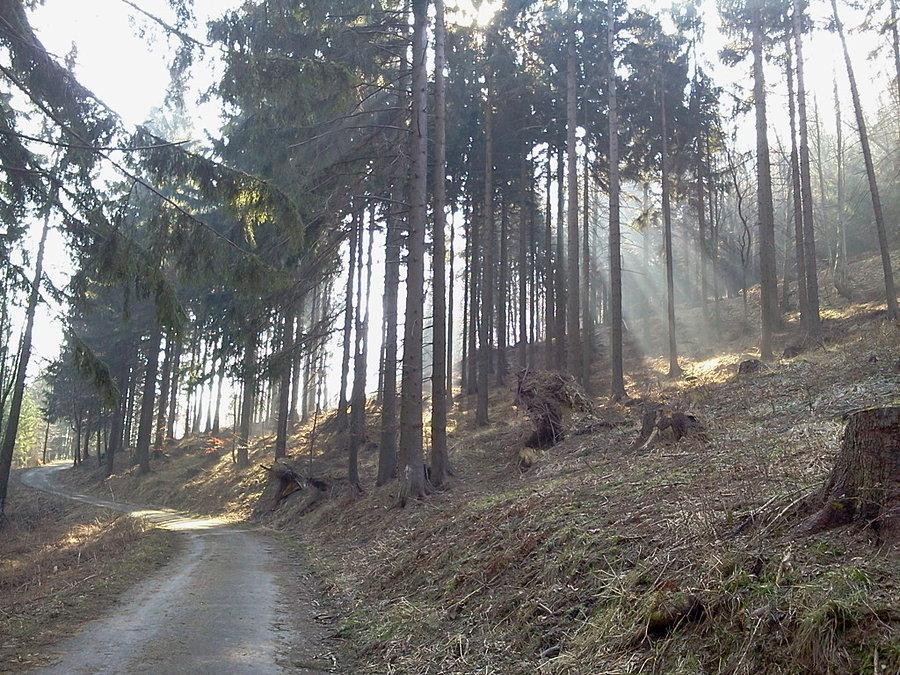 Na podjeździe