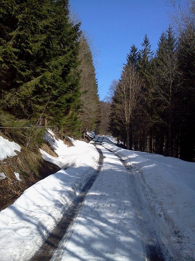 Podjazd na Jaworowy