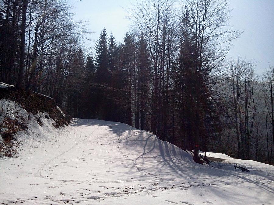 Zakręty