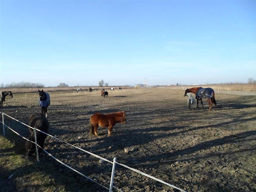 Korral nieopodal lotniska