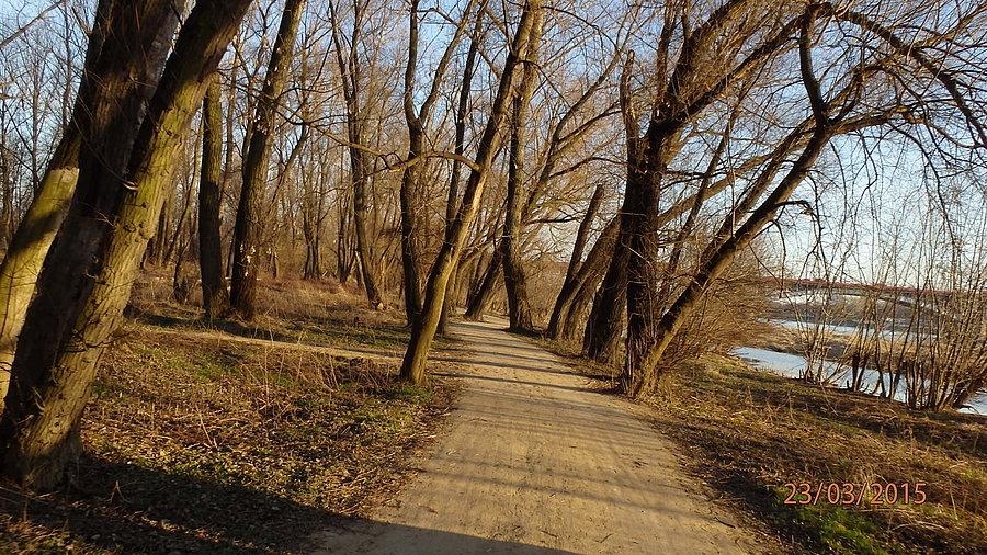 Ścieżka nad Wisłą (Warszawa)