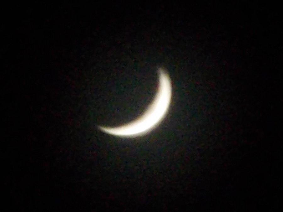 Przyjsciel nocnych marków ;)