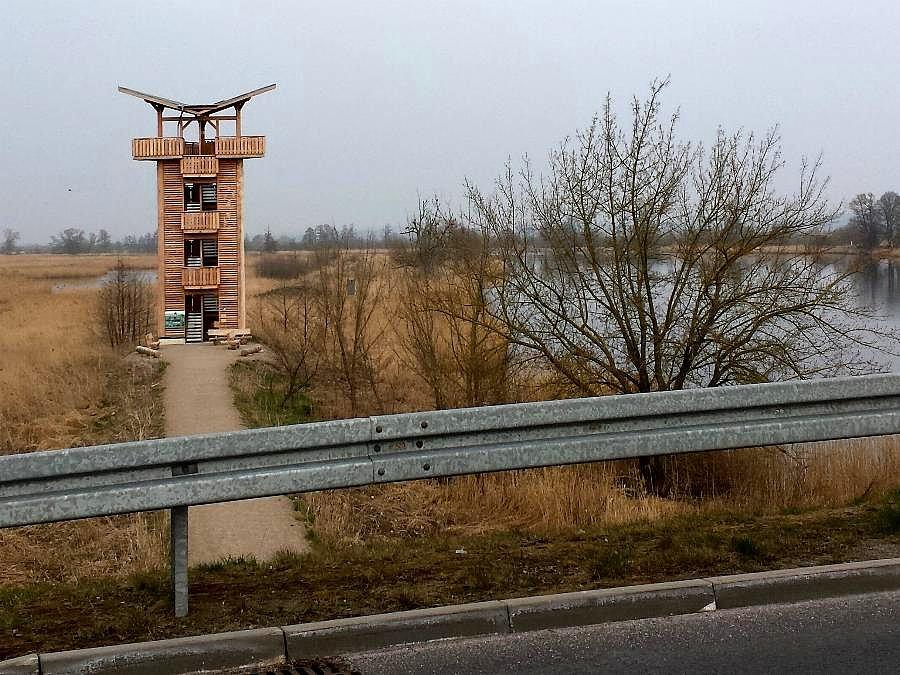 Wieża widokowa w Mescherin