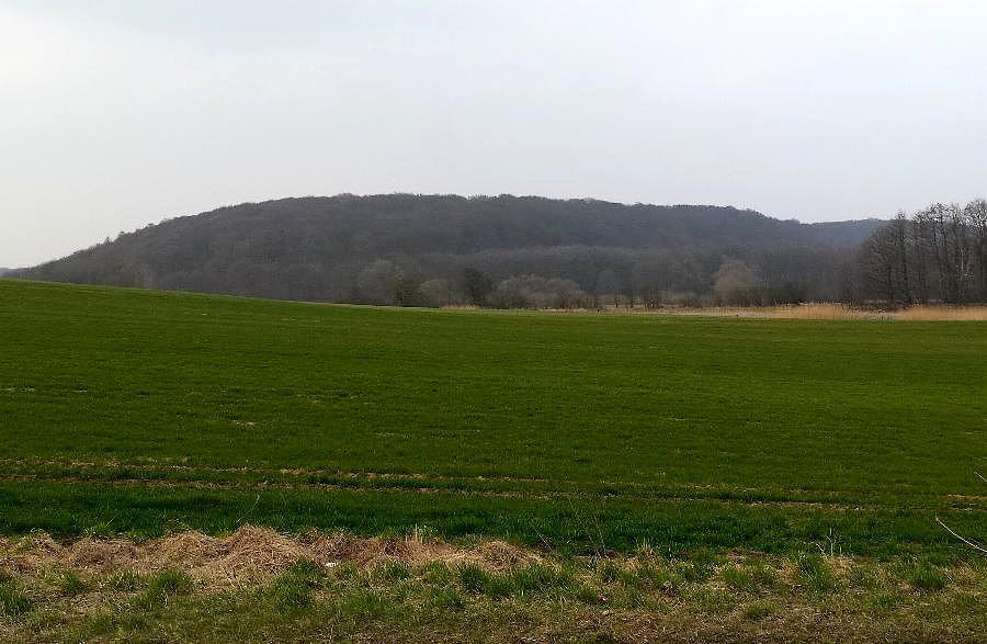 Widok na Bukowa przed Glinną