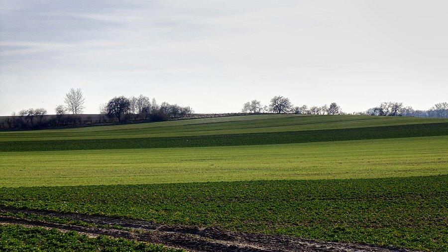 Przydrożne wodoki w drodze do Klępina