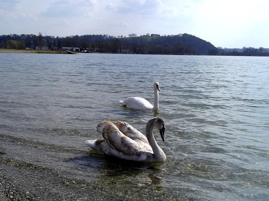 Hlucin, ośrodek wypoczynkowy