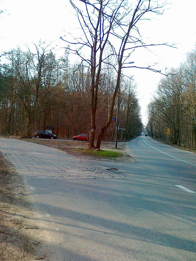 Trawka się zieleni