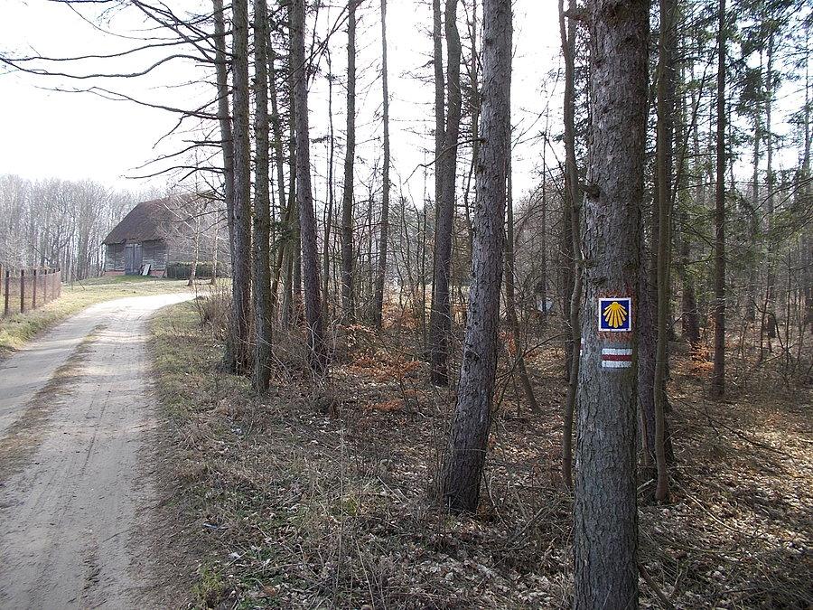 Elbląski odcinek Pomorskiej Drogi Świętego Jakuba - ulica Bukowa