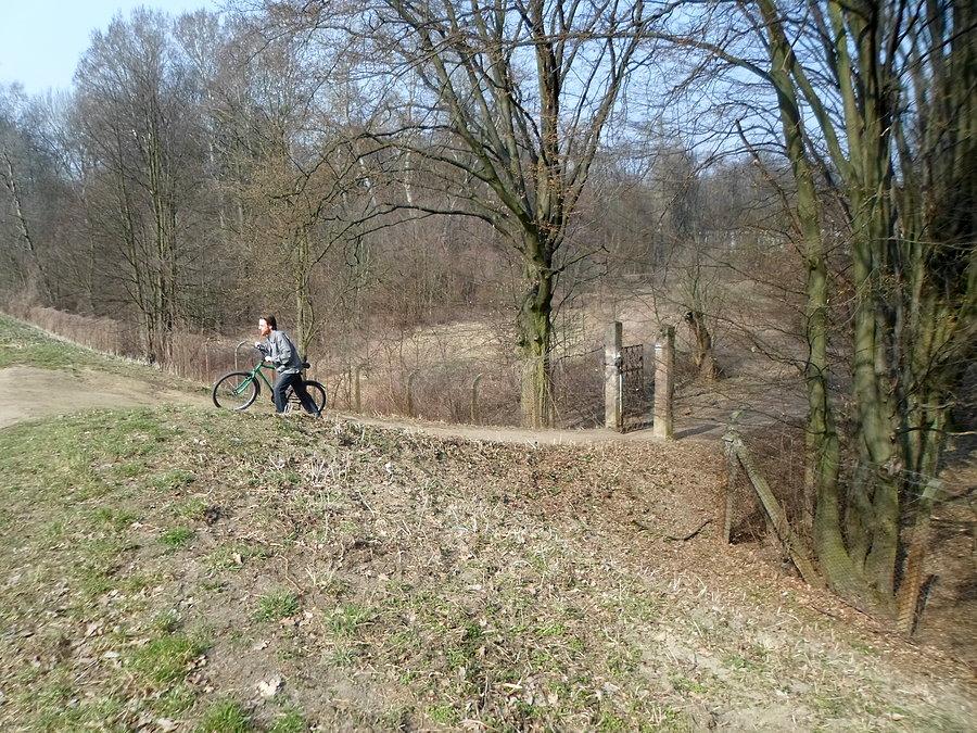 Wąska furtka do pałacowego parku w Jabłonnie
