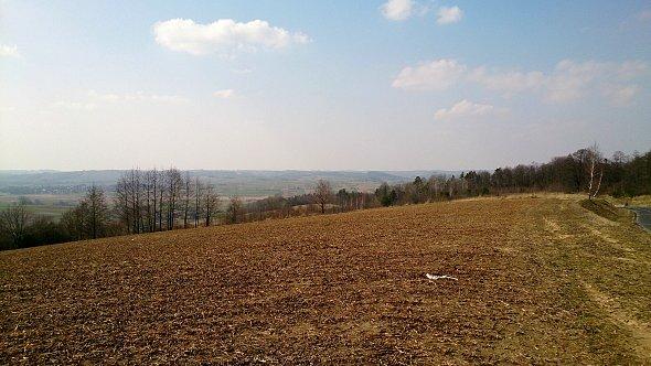 Widok z pola